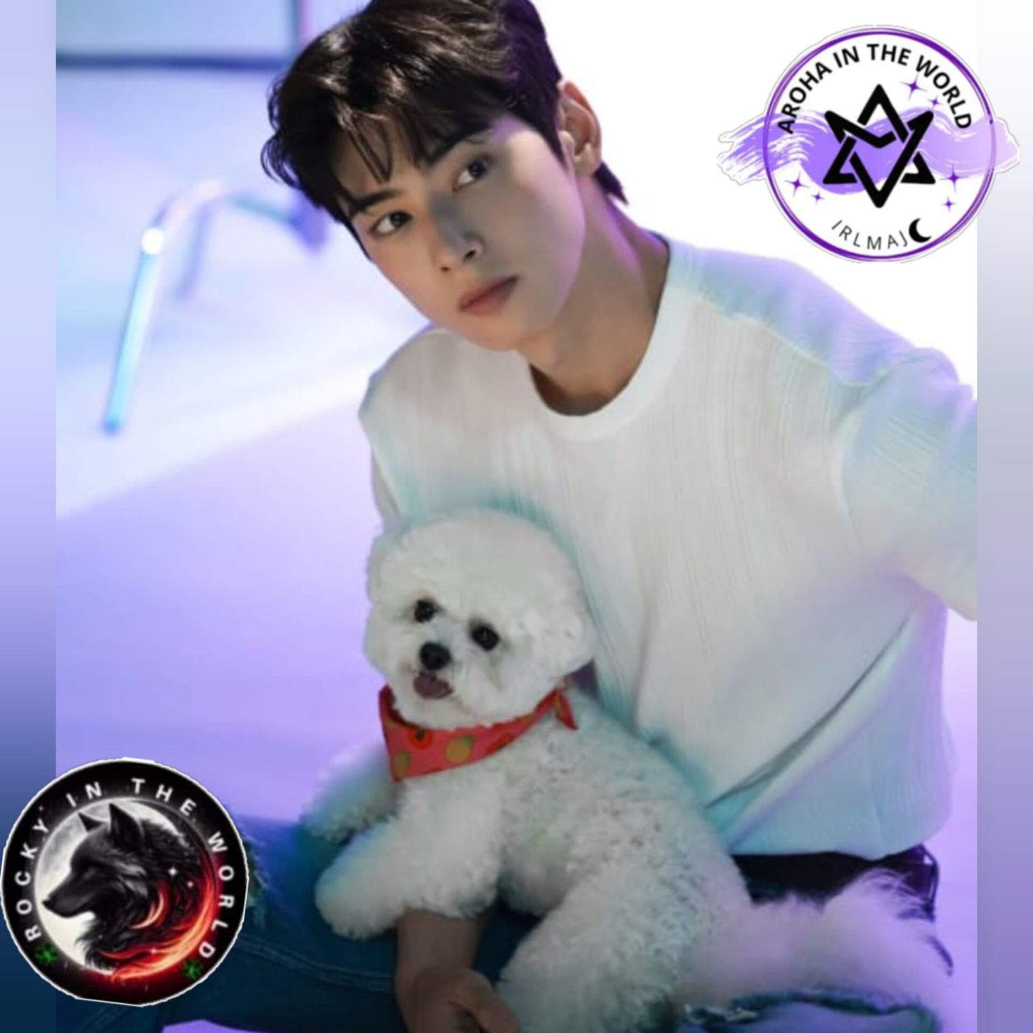 粉丝拍下的车银优瞬间