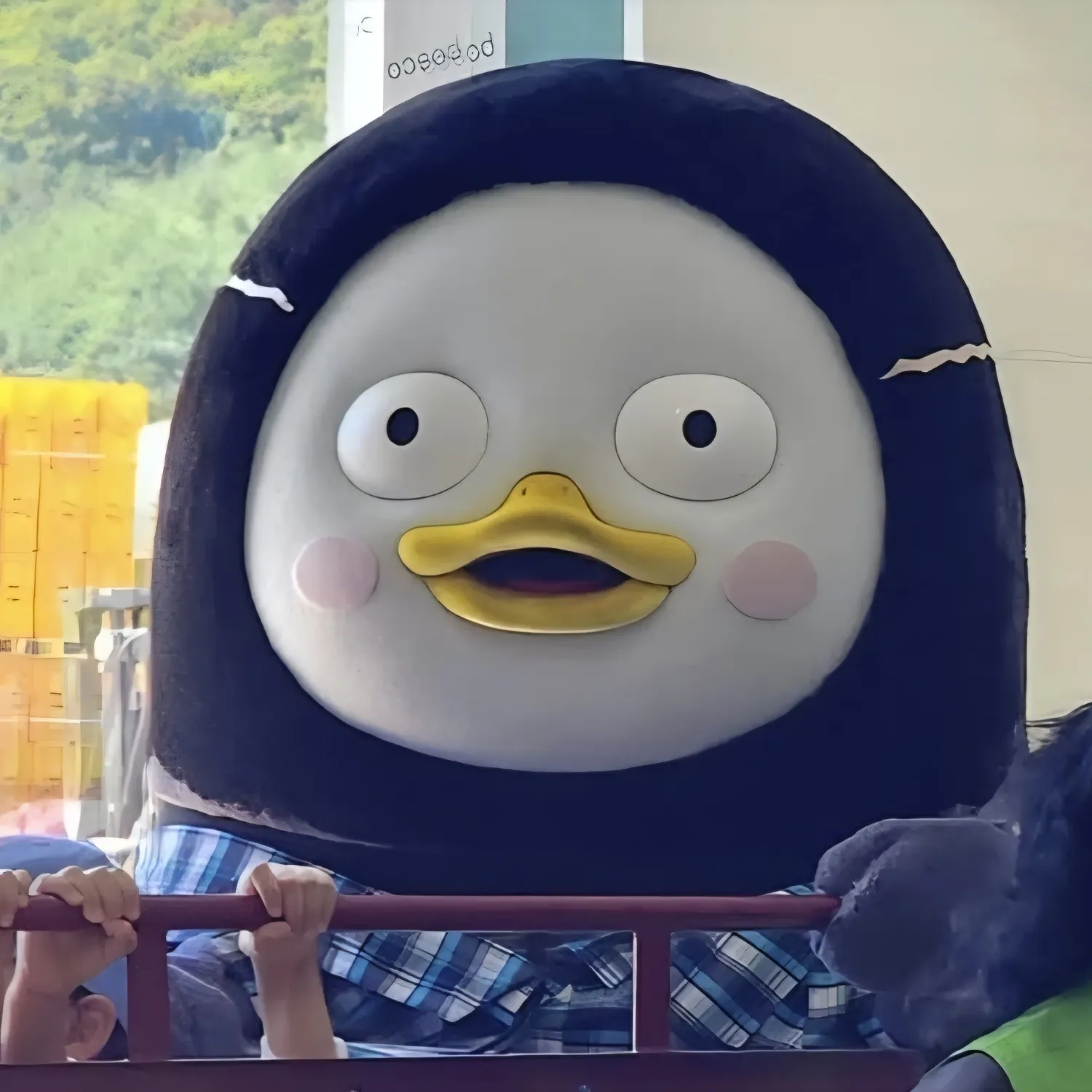 ペンスの最近の活動ショット