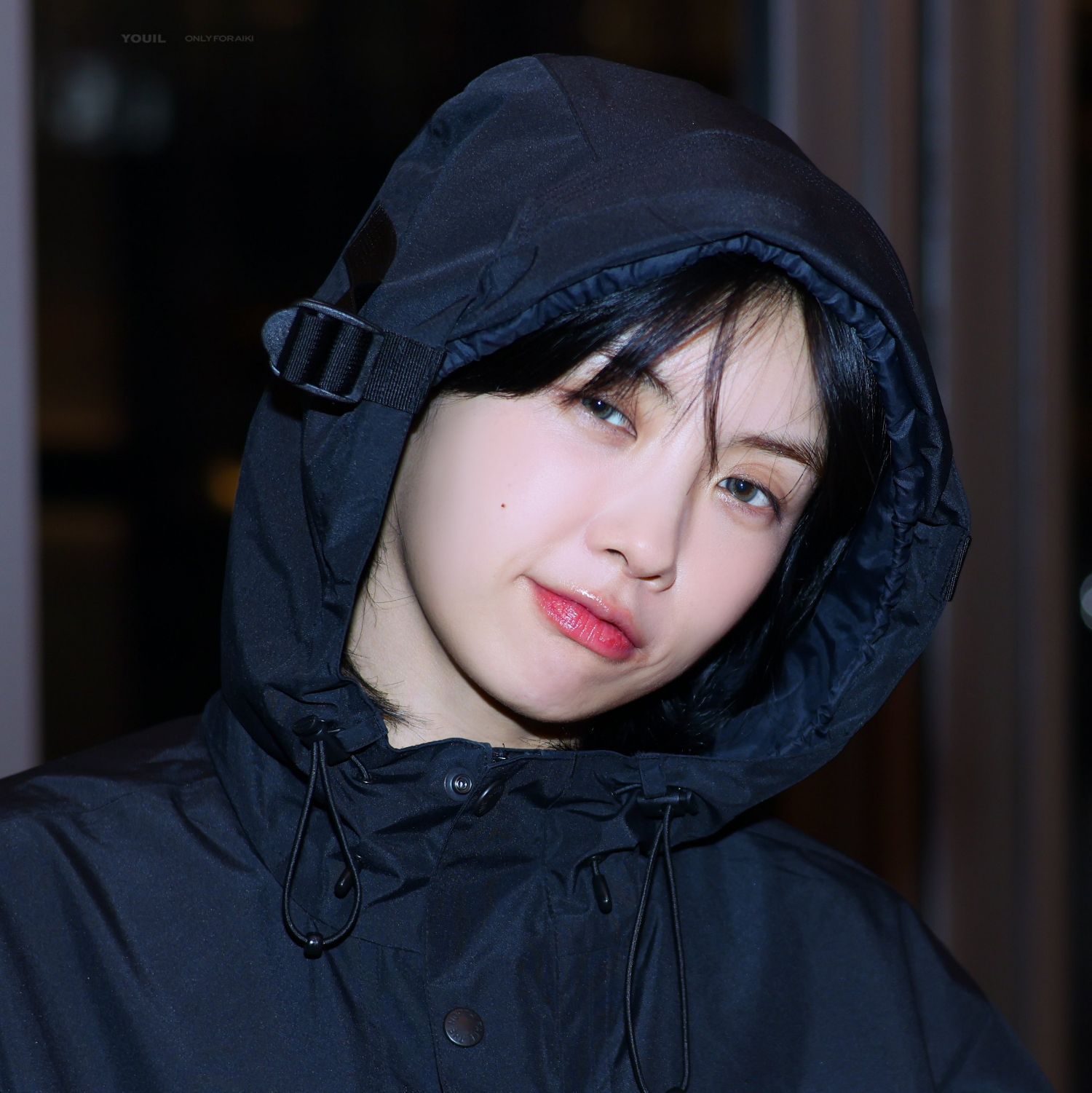 Latest photo of Aiki