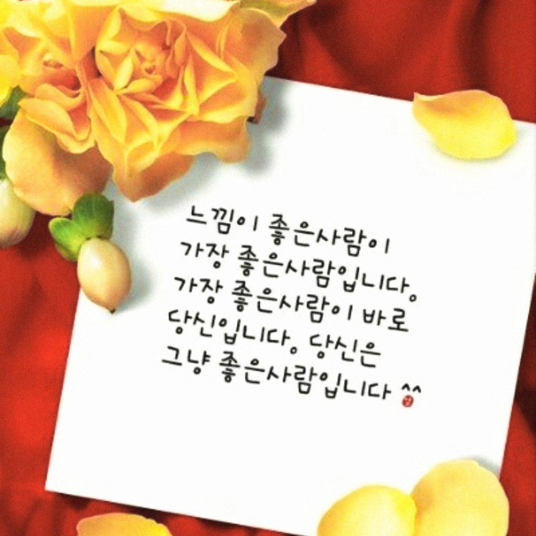 金浩中的最新照片