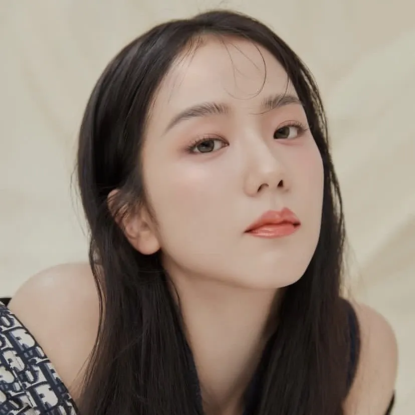 A moment captured by a fan of Jisoo (1995)