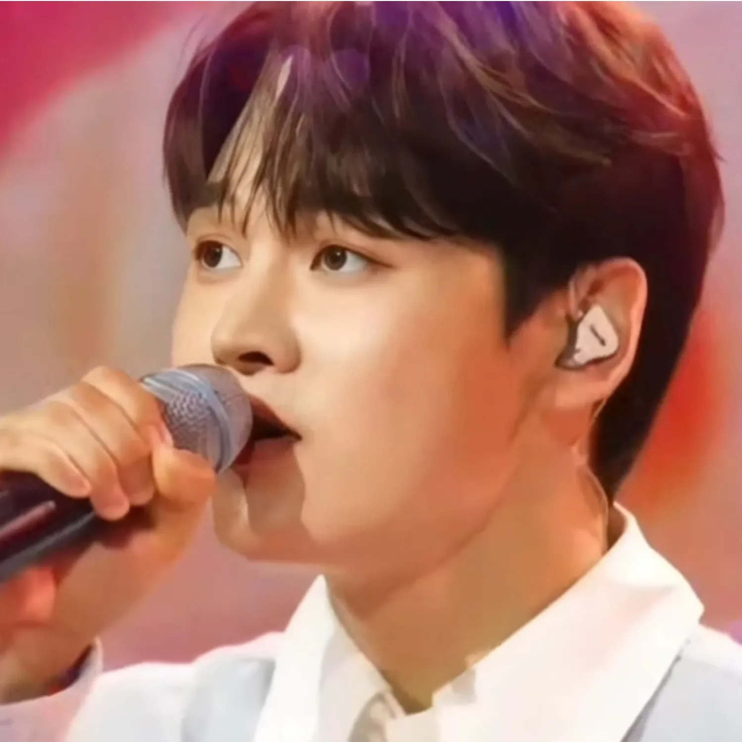 박서진 팬이 찍은 순간