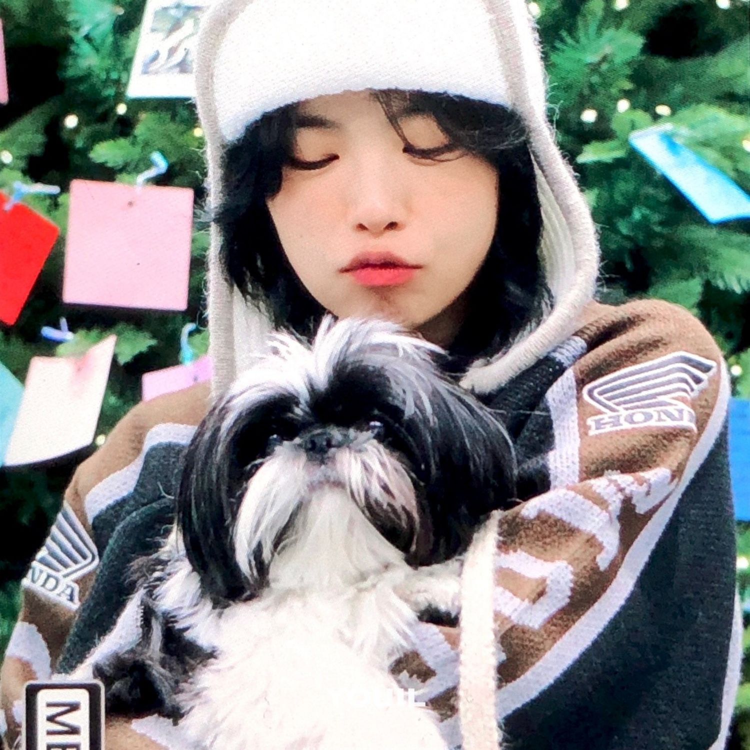 Recent activity shot of Aiki