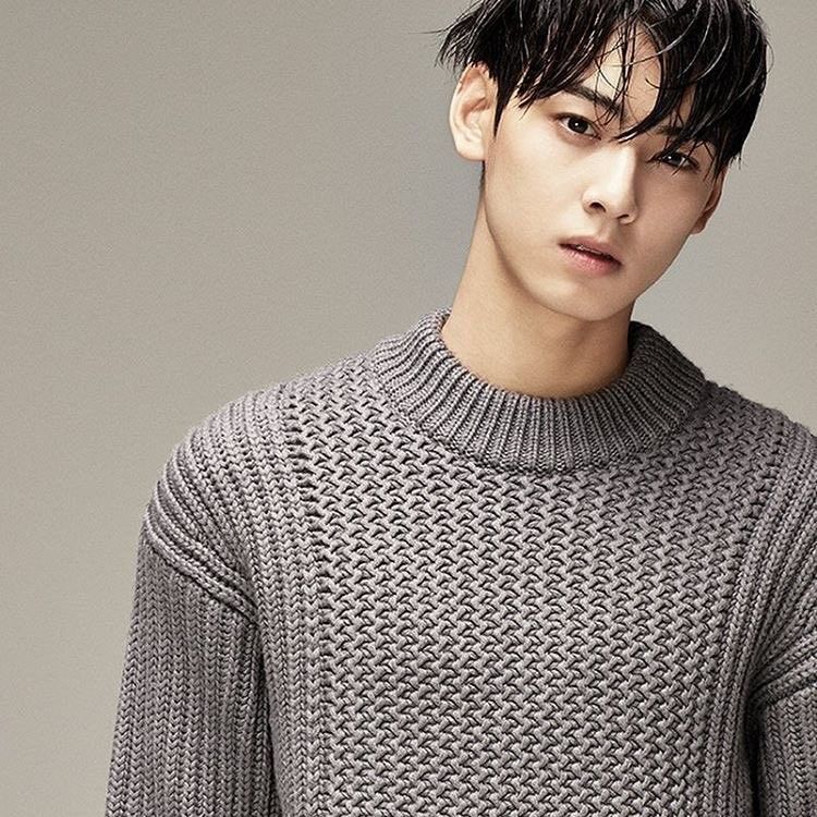 チャ・ウヌのビハインドカット