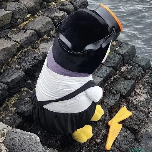 ペンスの最新写真