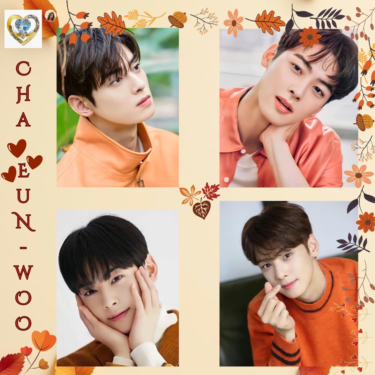 Recent activity shot of Cha Eunwoo