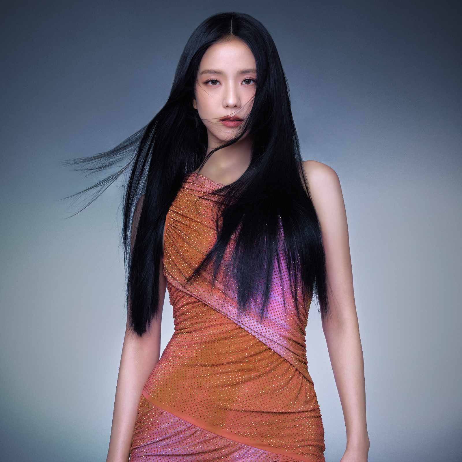 A moment captured by a fan of Jisoo (1995)
