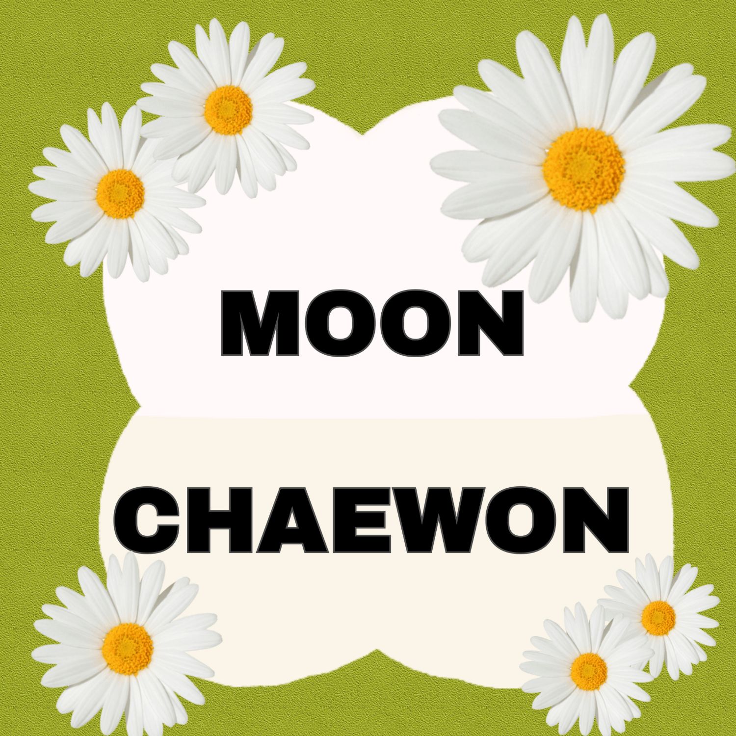 A moment captured by a fan of Moon Chaewon