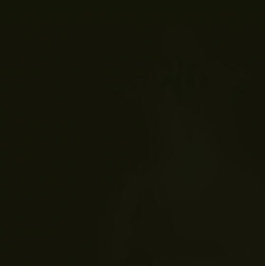 박보검의 비하인드 컷