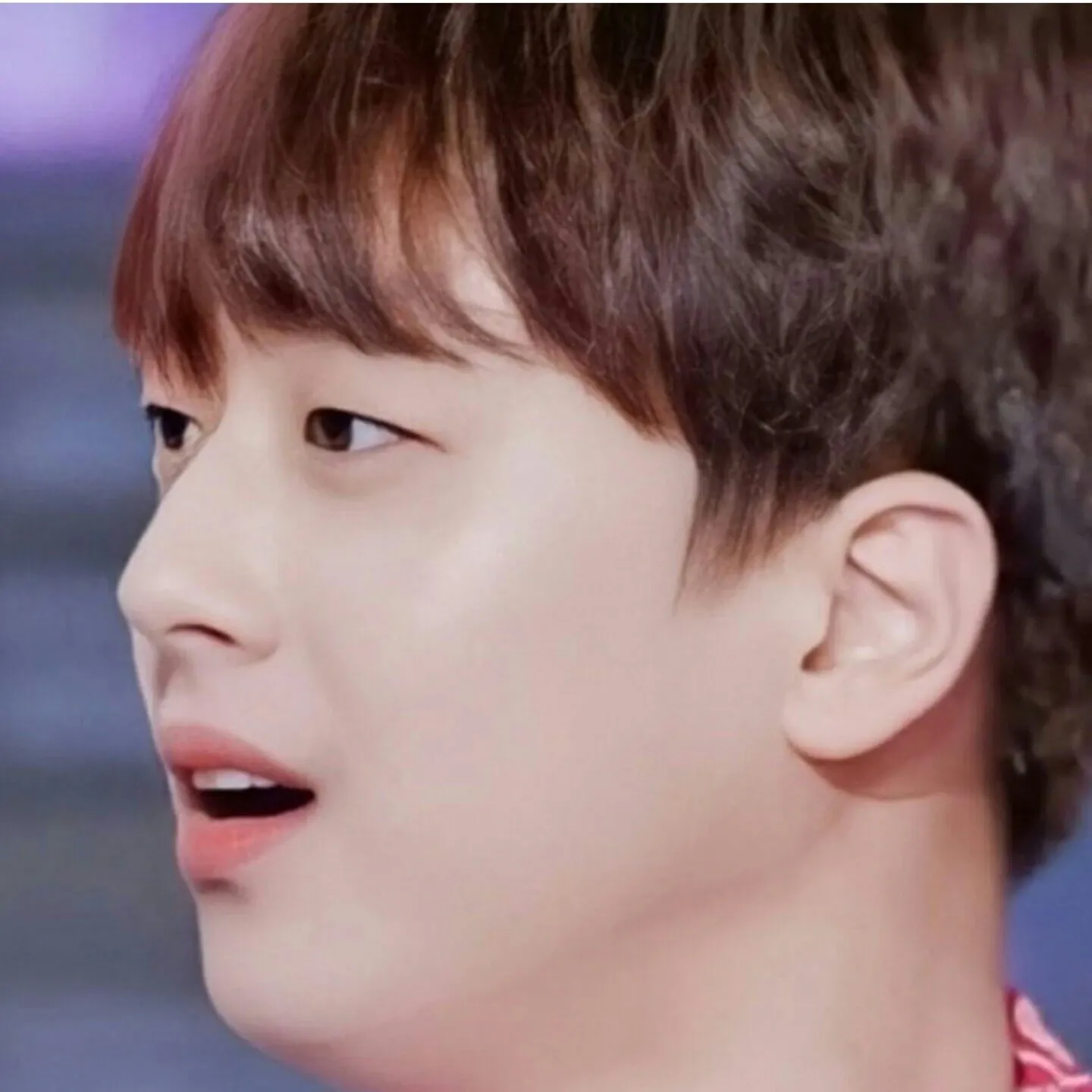 이찬원의 비하인드 컷