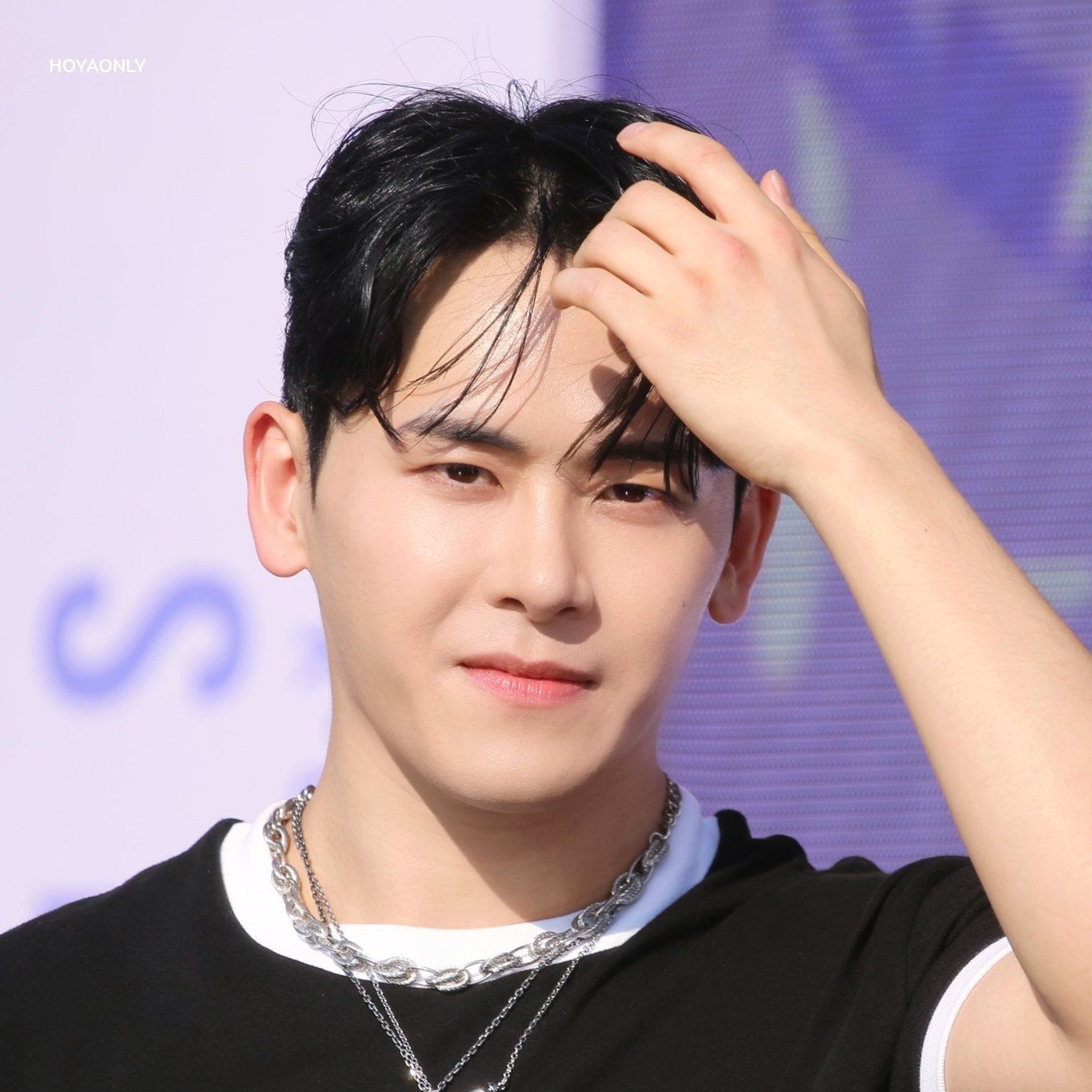 Latest photo of Hoya