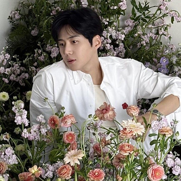 Momen yang diabadikan oleh penggemar Kim Seonho