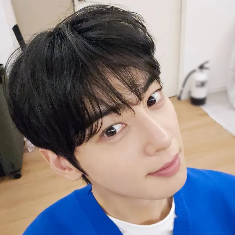 A moment captured by a fan of Cha Eunwoo