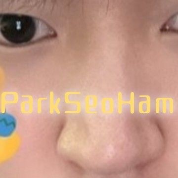 粉絲拍下的Park Seoham瞬間
