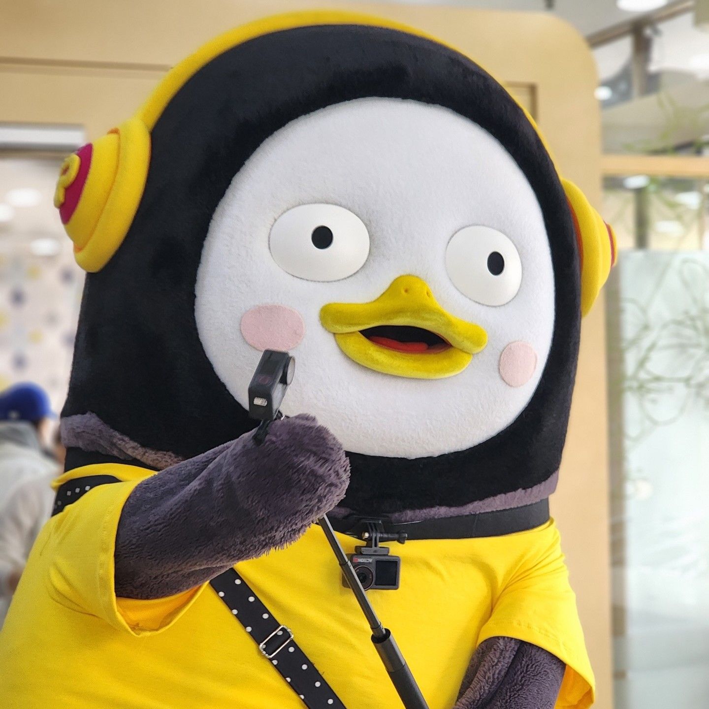 朋秀的近期活動照