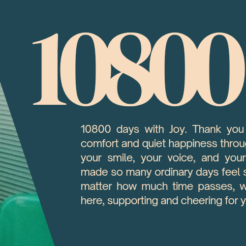 박수영 (조이) 최근 활동샷