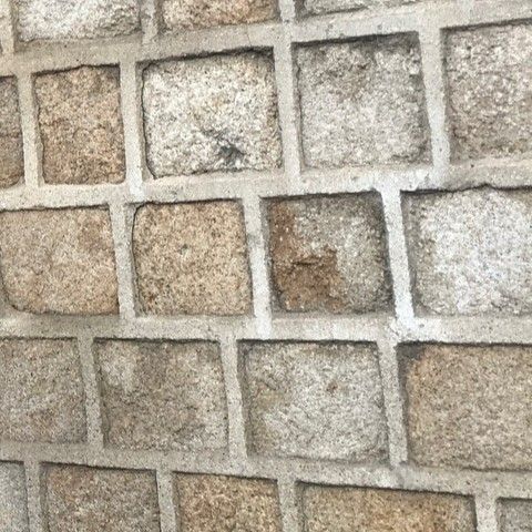 Latest photo of Bona