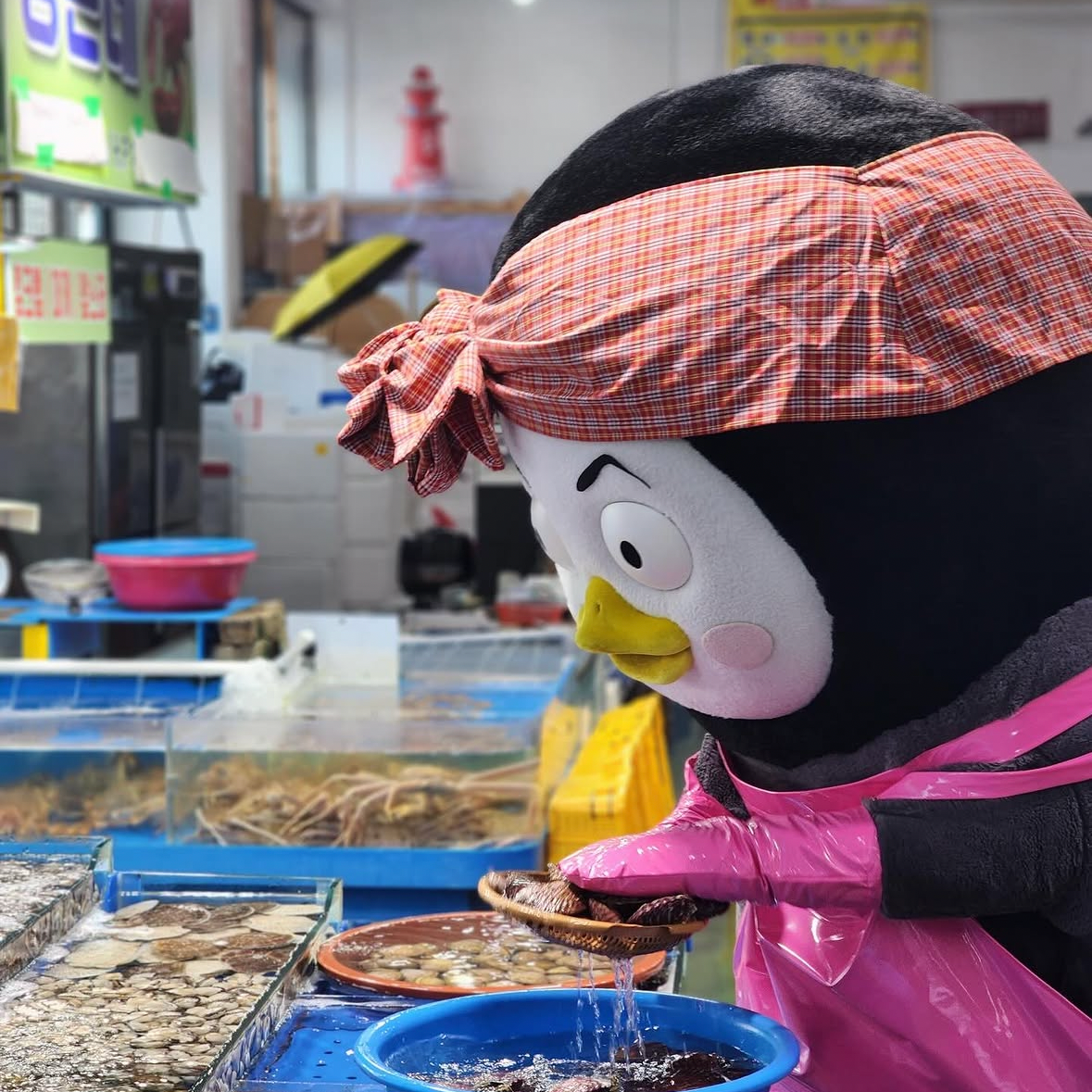 ファンが撮影したペンスの瞬間