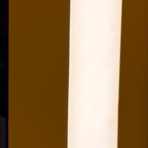 A moment captured by a fan of Bona