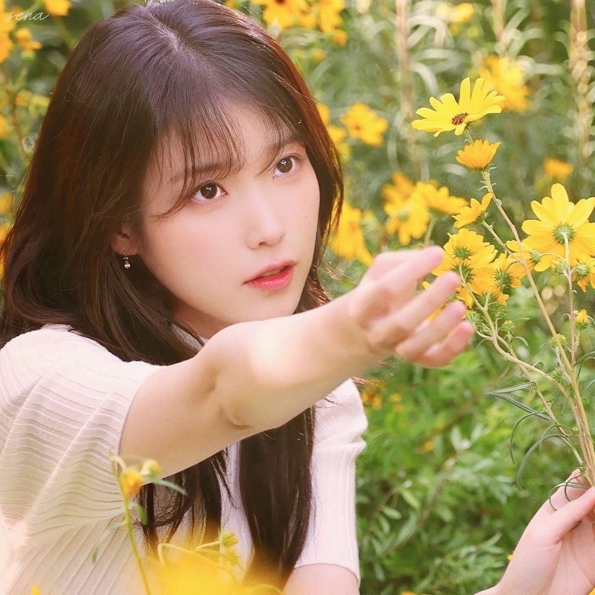 IU的近期活動照