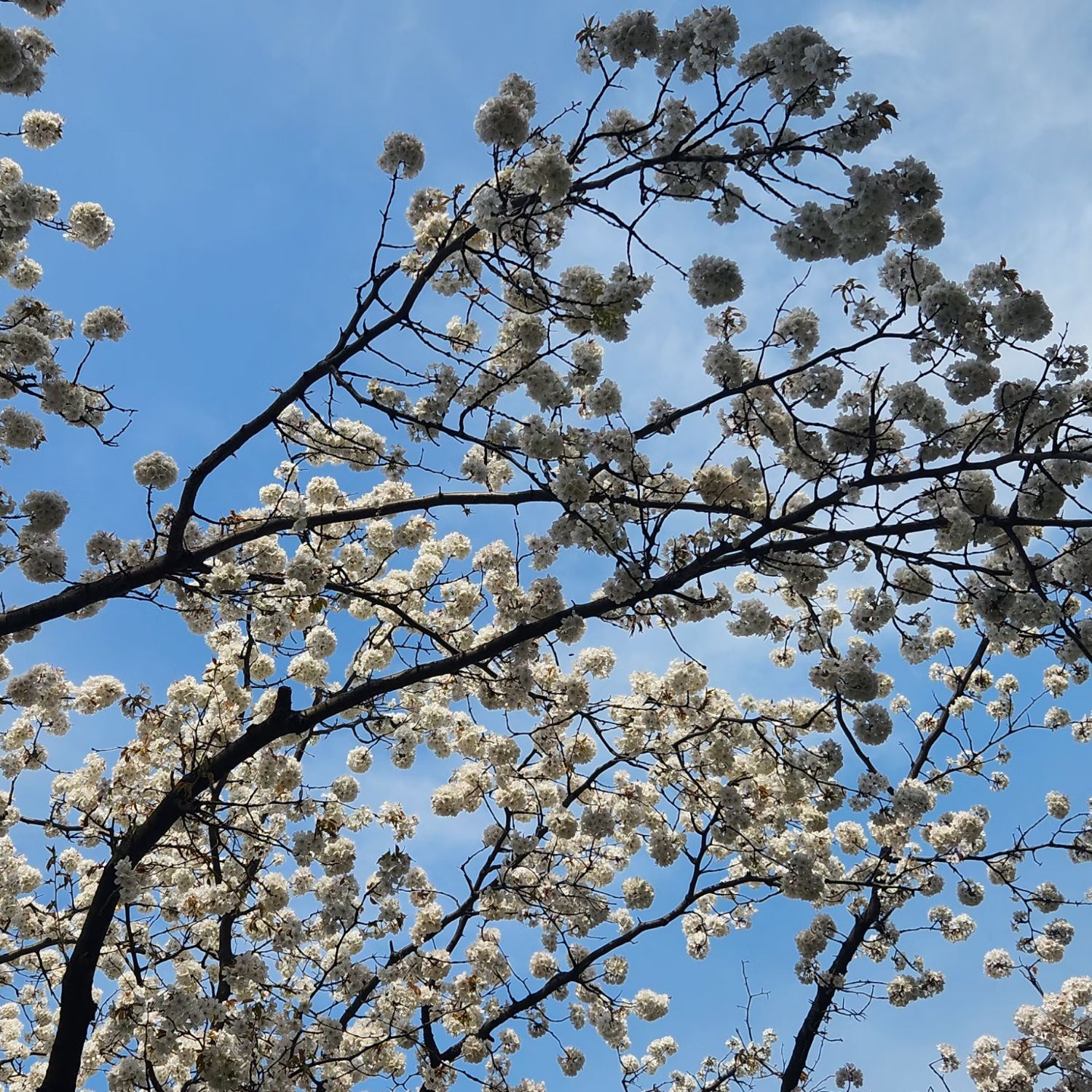 イ・チャンウォンの最新写真