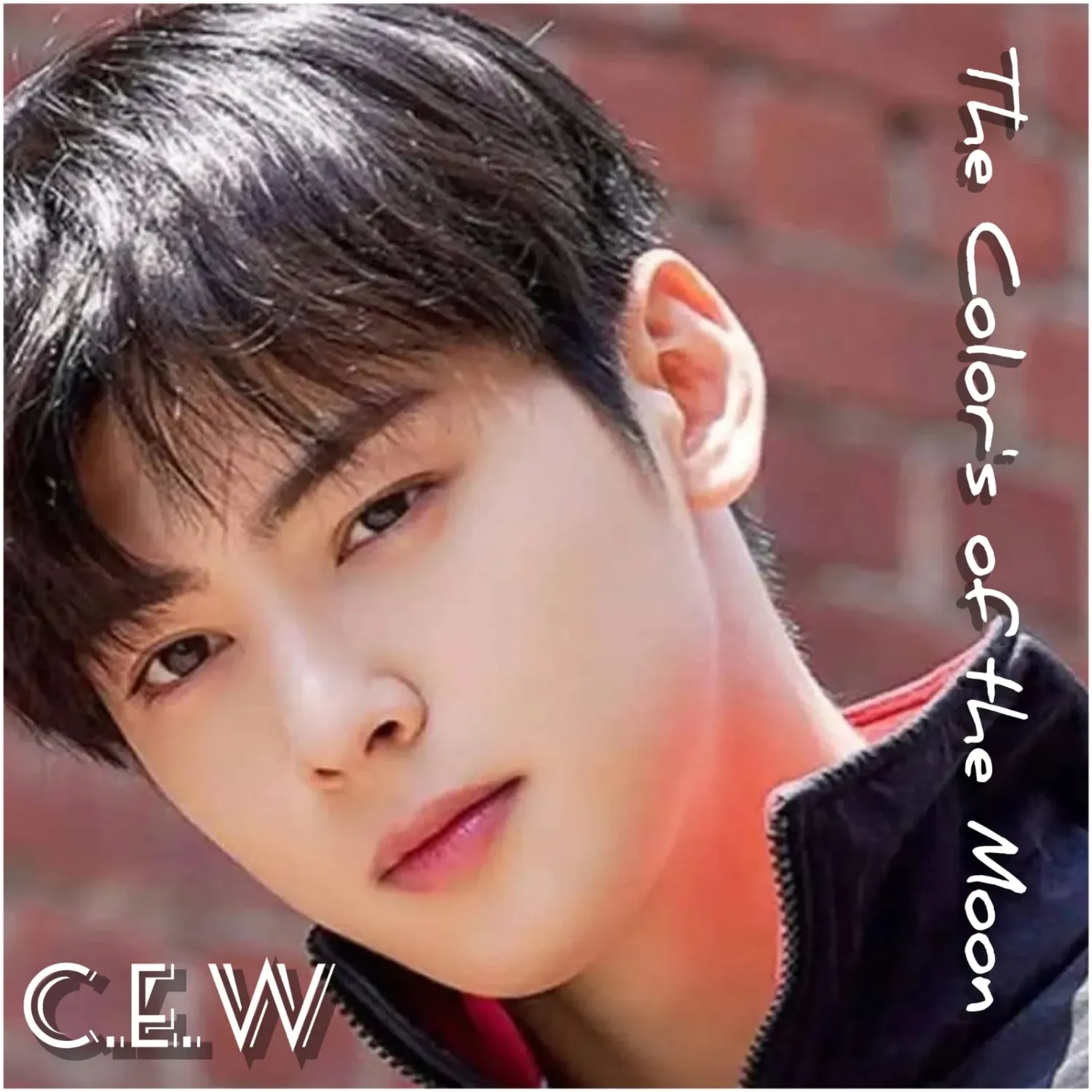 A moment captured by a fan of Cha Eunwoo
