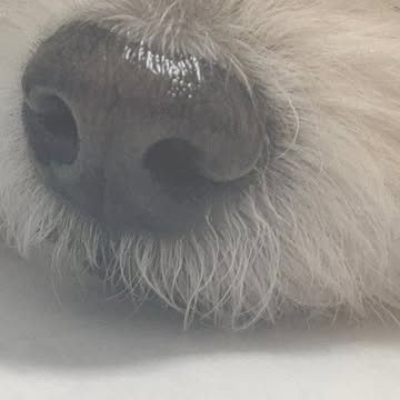 A moment captured by a fan of Lee Jungha