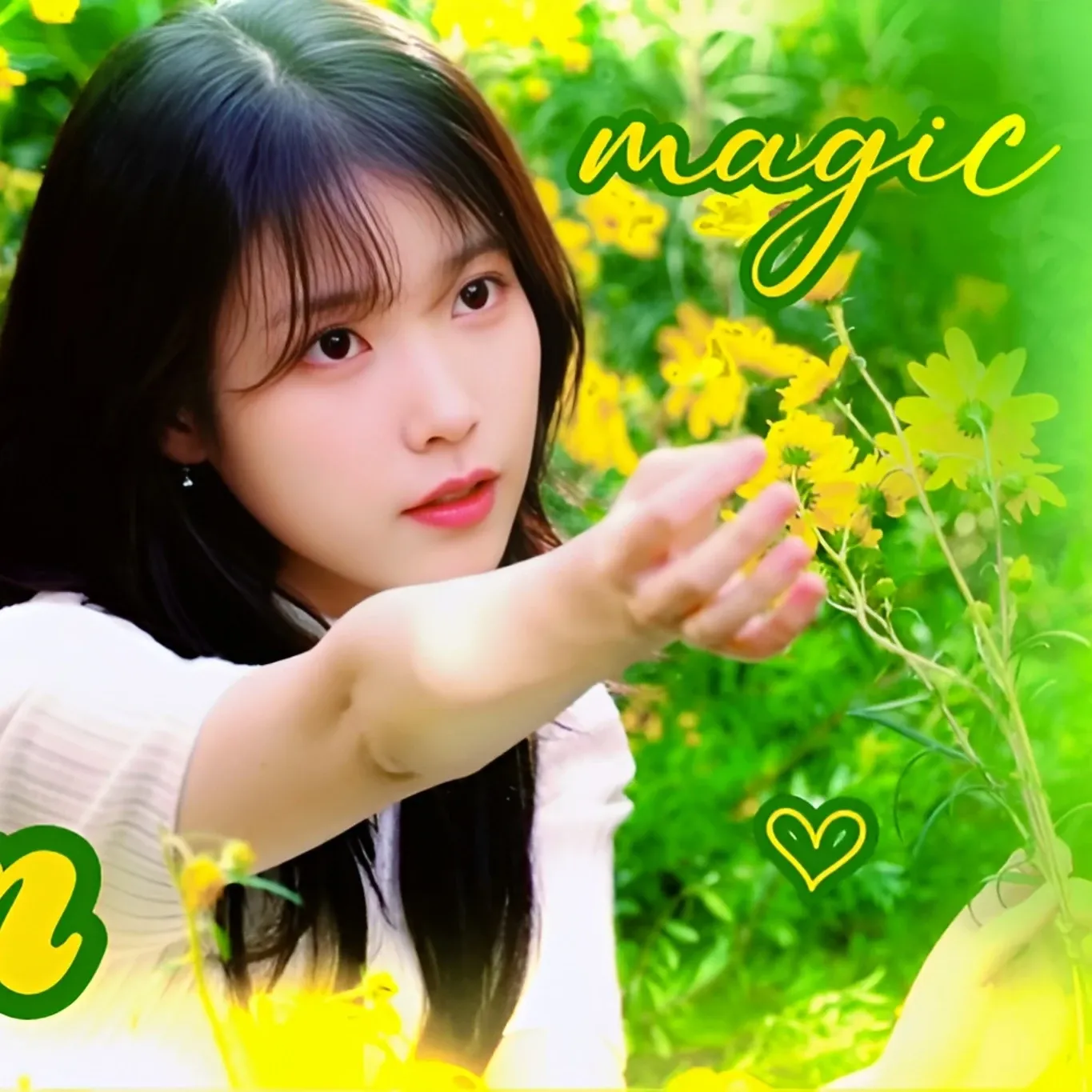 A moment captured by a fan of IU