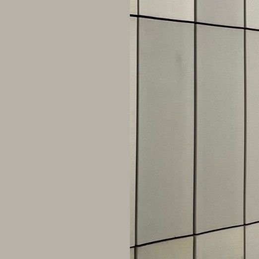 Recent activity shot of Bona