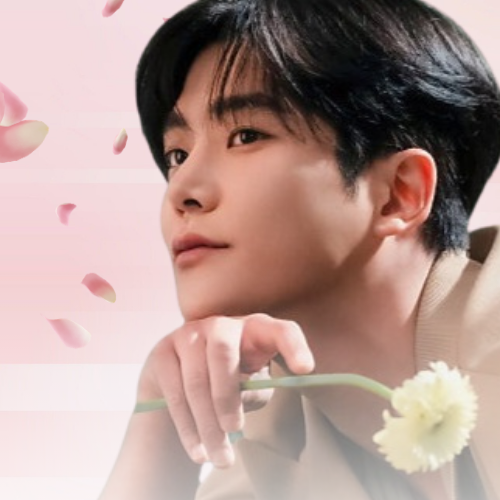 路云的近期活动照