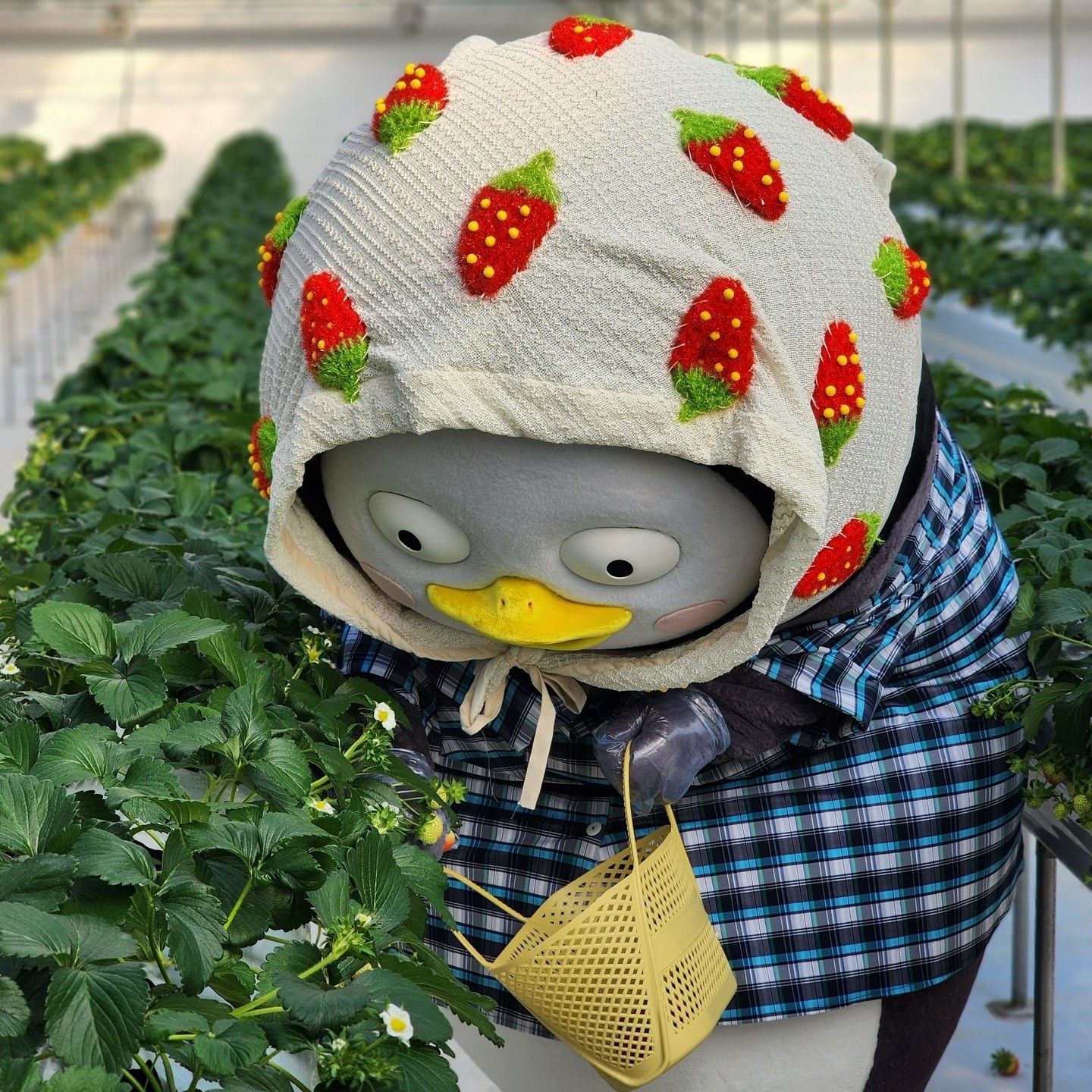 Foto kegiatan terbaru dari Pengsoo