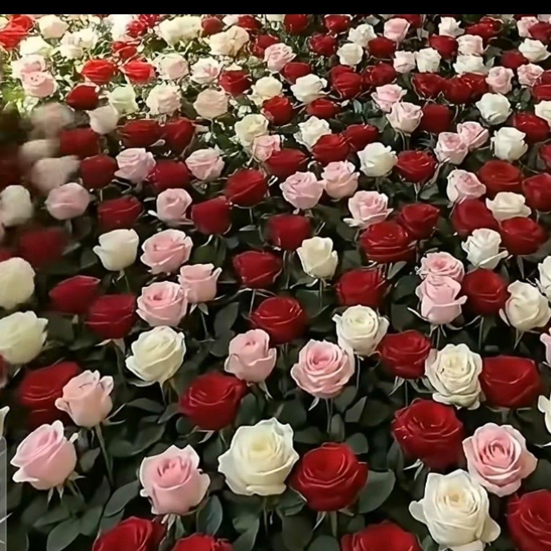 Recent activity shot of Jin Haesung