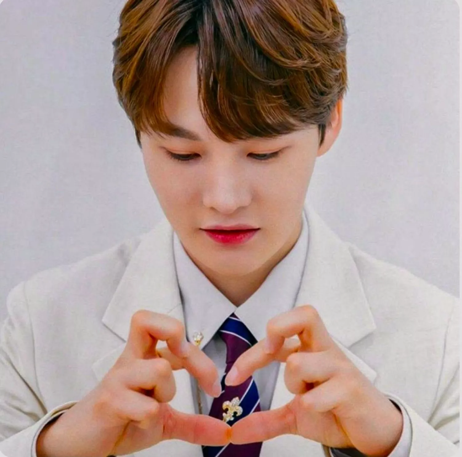 박서진 팬이 찍은 순간
