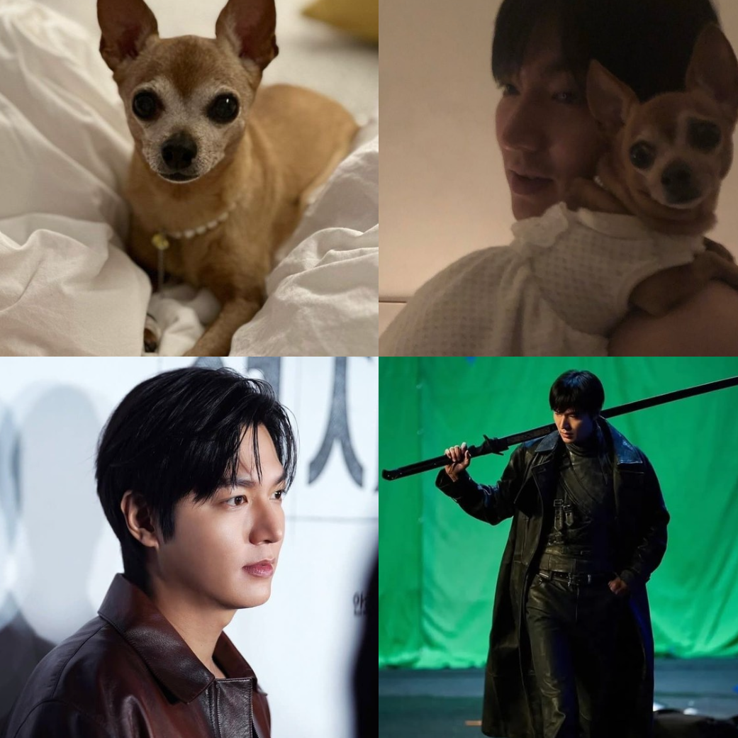 李敏镐的近期活动照