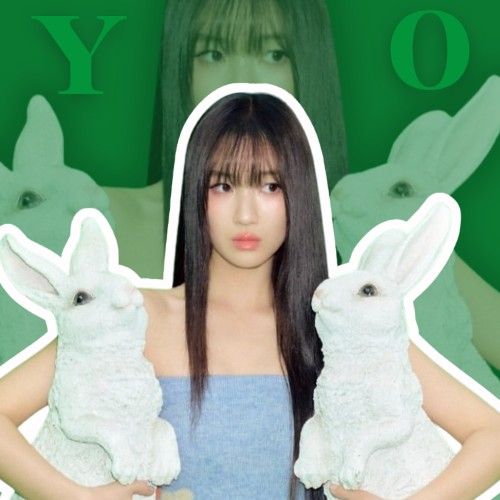 金惠奫的近期活动照