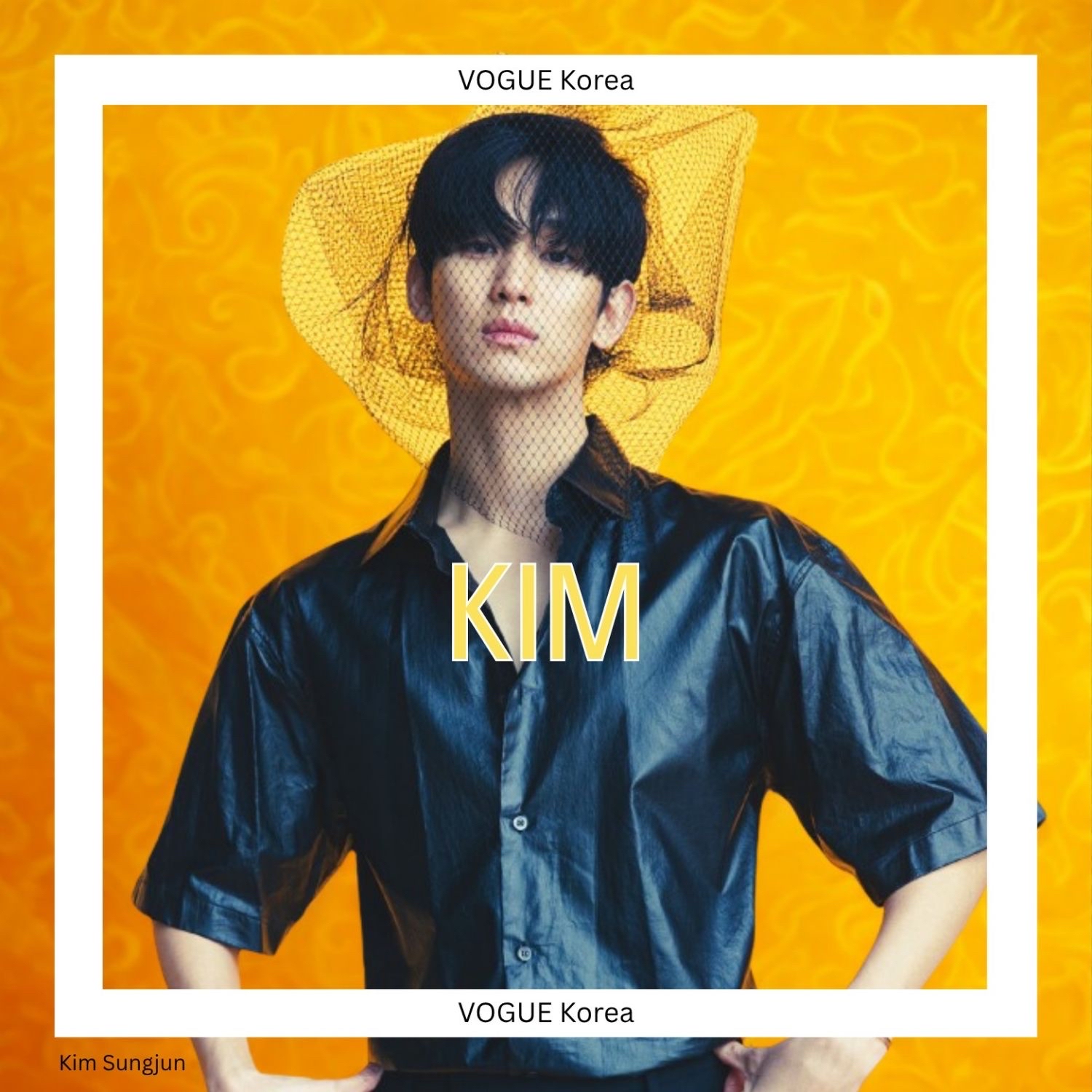 A moment captured by a fan of Kim Soohyun