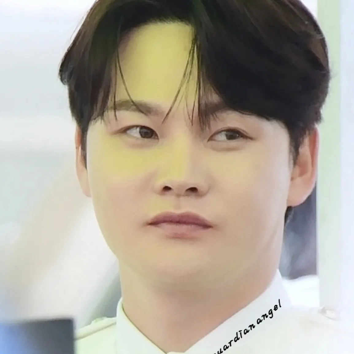 박서진 팬이 찍은 순간
