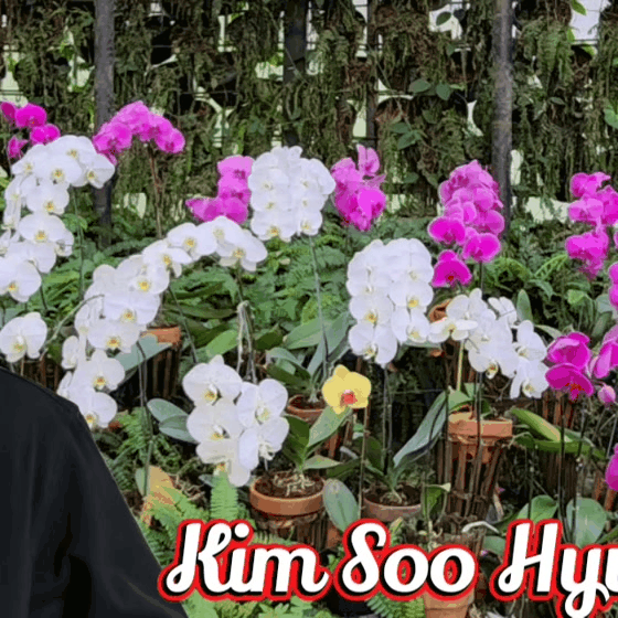 community_articles_contents