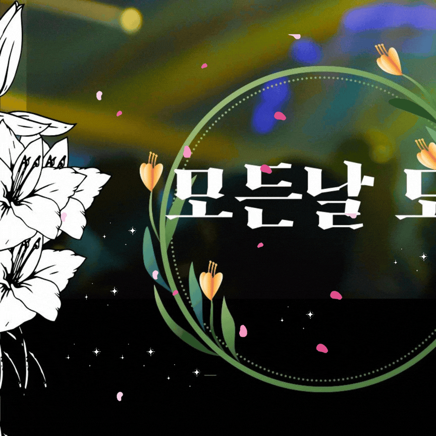 A moment captured by a fan of YOYOMI