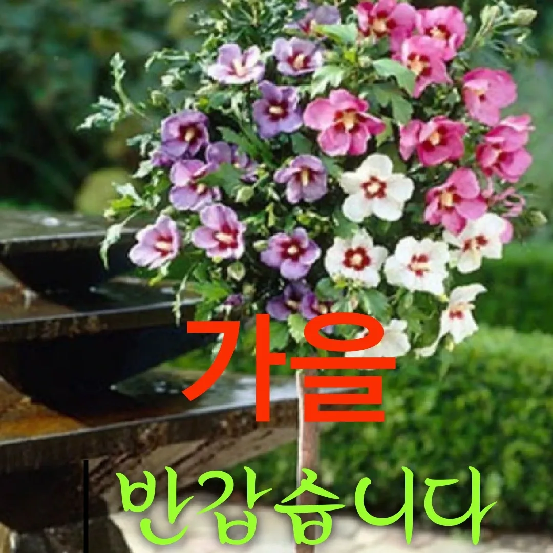 A moment captured by a fan of Choi Jaemyeong