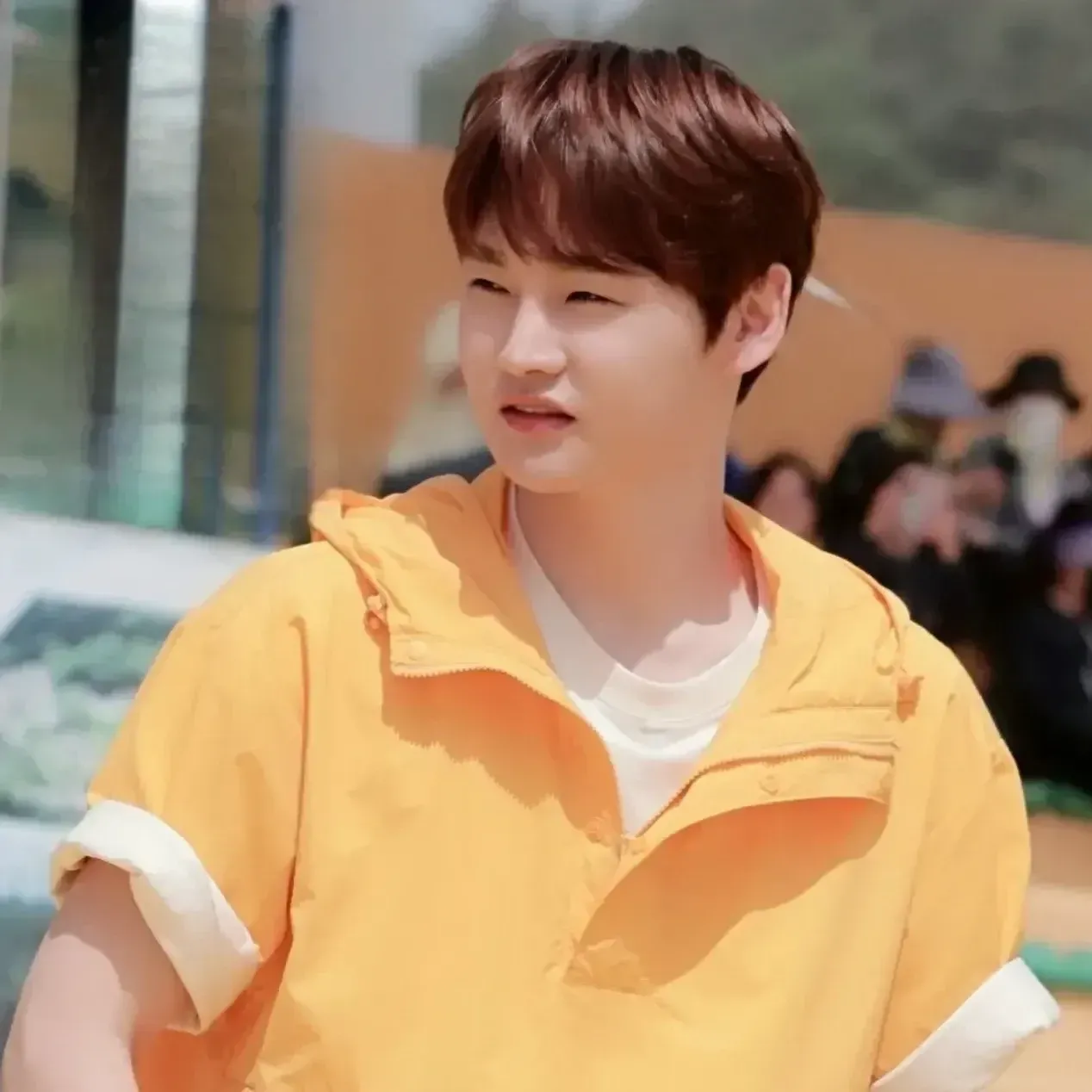 박서진 팬이 찍은 순간