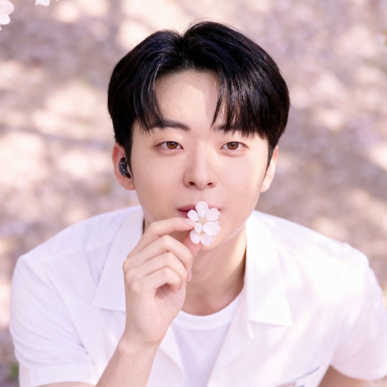 A moment captured by a fan of Park Minsu