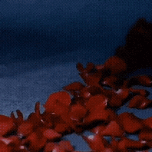 Recent activity shot of Park Minyoung