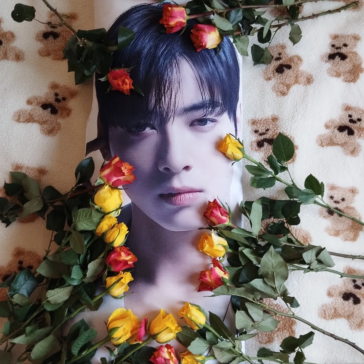Latest photo of Cha Eunwoo