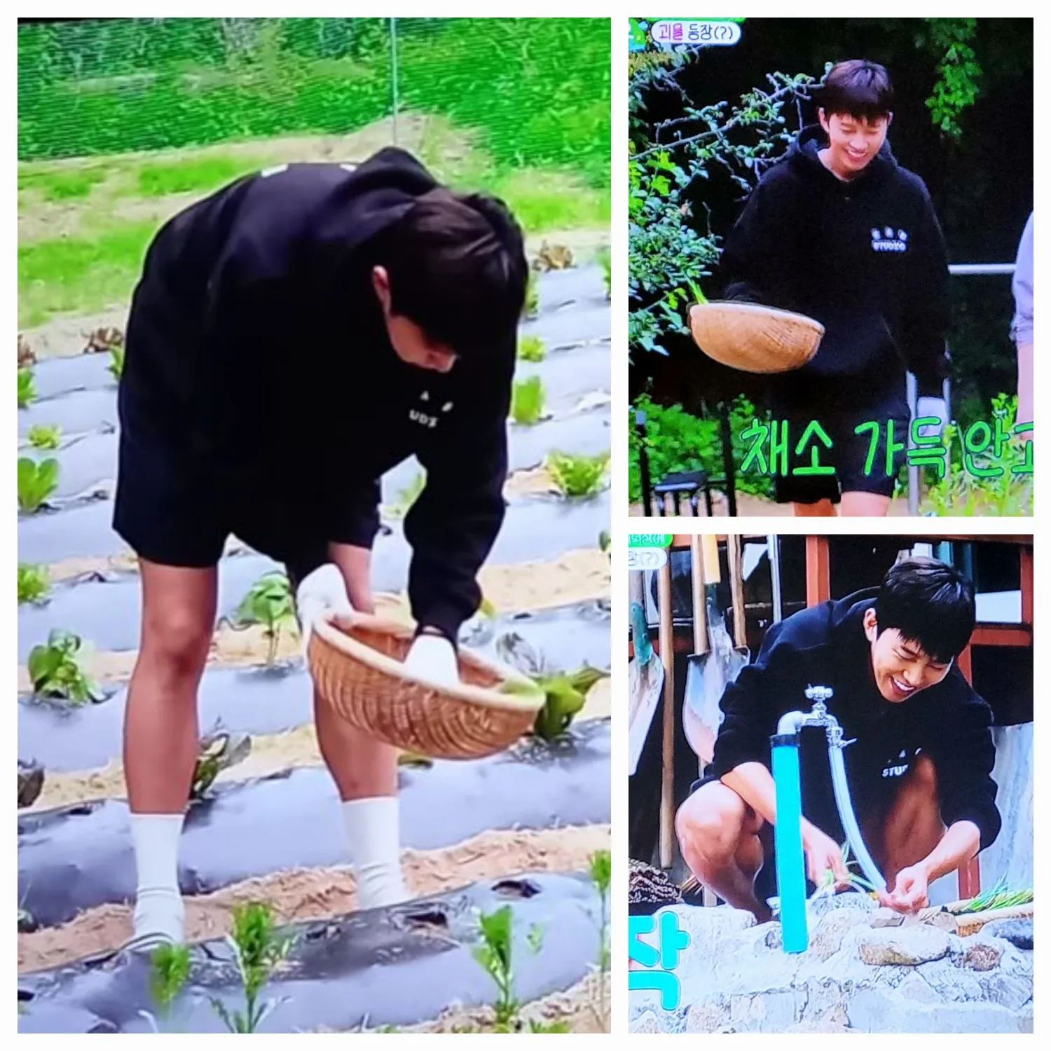林英雄的近期活动照