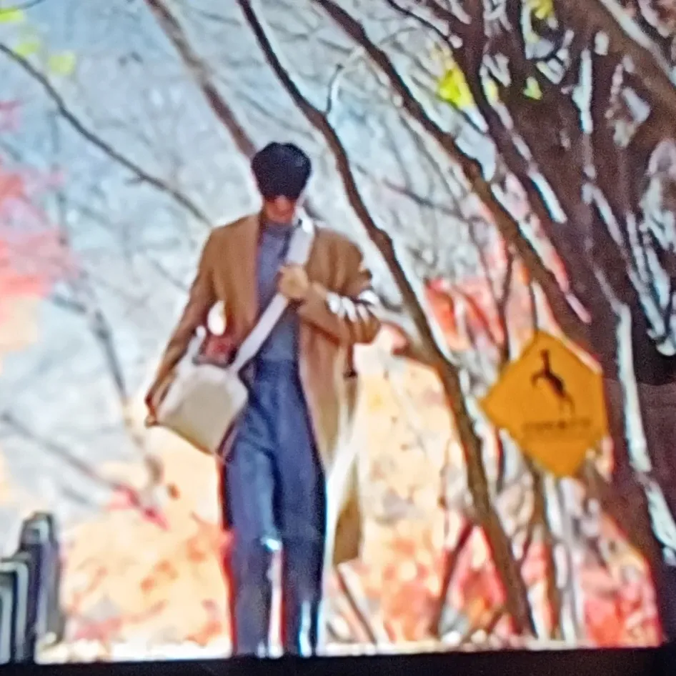 A moment captured by a fan of Lee Minho