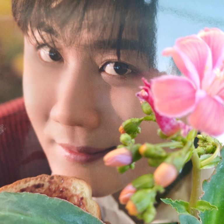 A moment captured by a fan of Jin Haesung