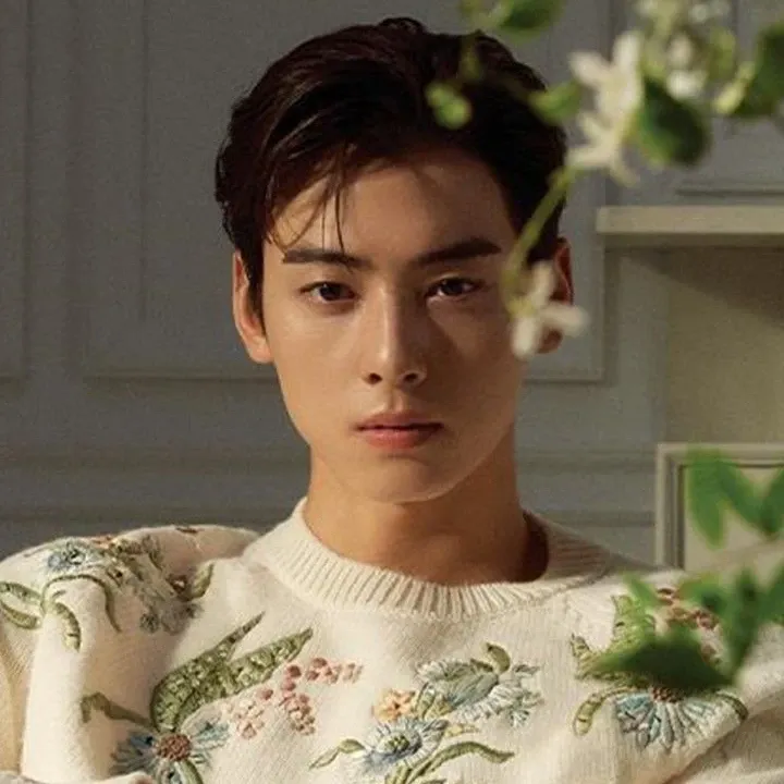 Behind-the-scenes cut of Cha Eunwoo