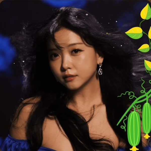 通过投票选出的YOYOMI人气头像图像