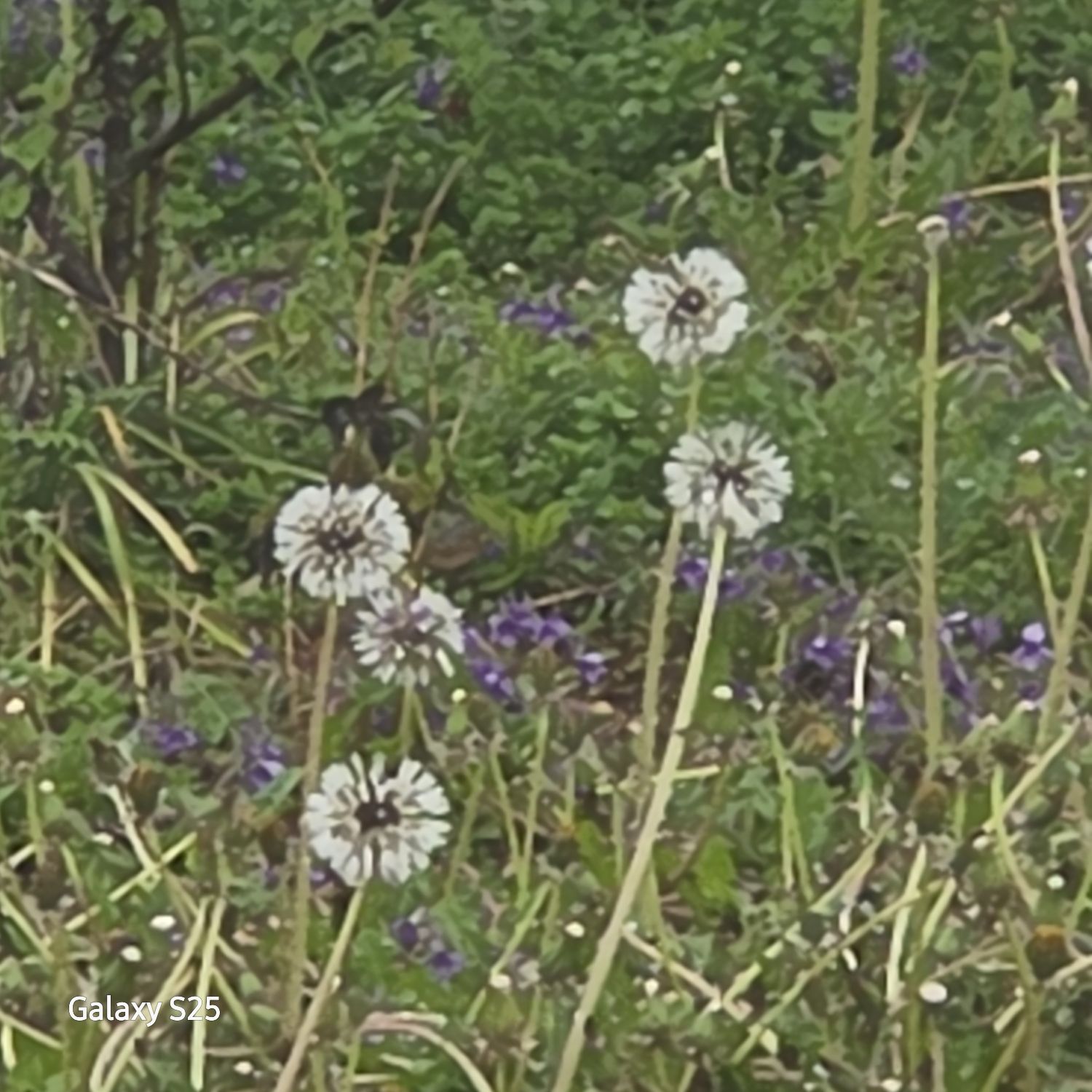 張民好的幕後花絮